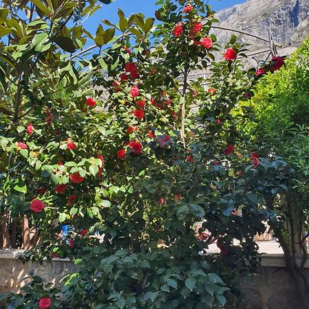 La Grande Apartments Kotor Luaran gambar